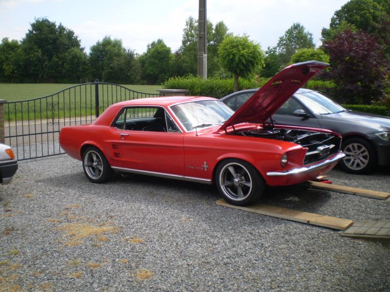 Mustang 67  (5).JPG